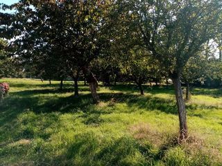  Maison � vendre 4 pi�ces 107 m�