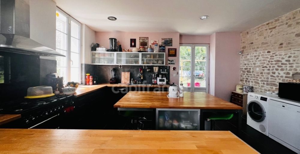 � vendre  Propri�t�/ch�teau Anais (17540)