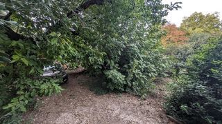  Maison � vendre 2 pi�ces 41 m�