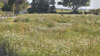  Terrain � vendre 772 m�