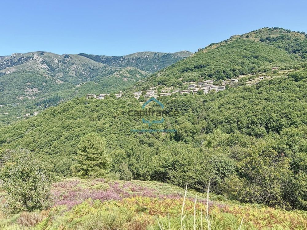 � vendre  Maison Laboule (07110)