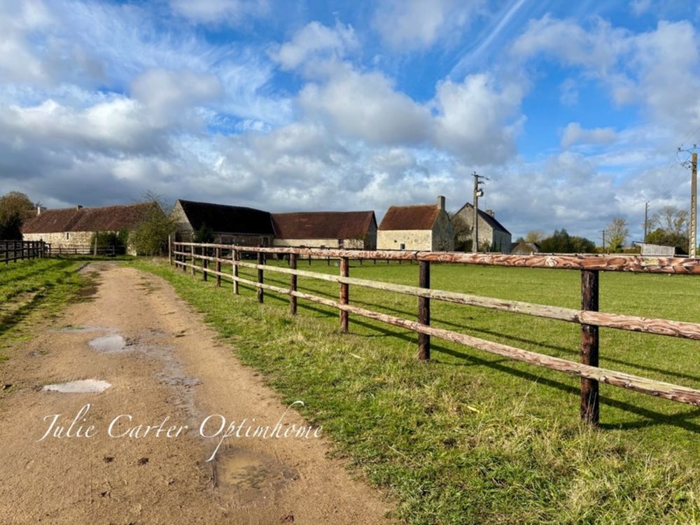 � vendre  Propri�t�/ch�teau Avoine (61150)