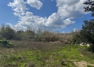  Terrain � vendre 990 m�