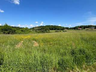  Terrain � vendre 5710 m�