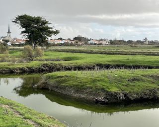  Terrain � vendre 11140 m�