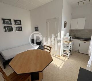  Appartement � louer 1 pi�ce 21 m�