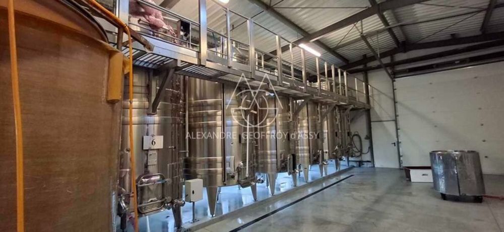 � vendre  Propri�t�/ch�teau Chenonceaux (37150)