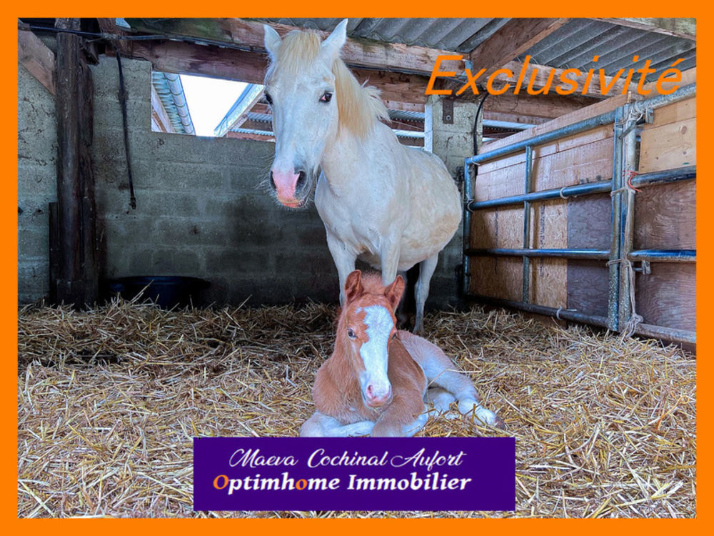 � vendre  Propri�t�/ch�teau Verneuil-sur-Avre (27130)