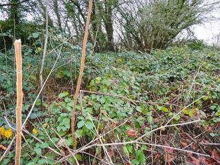  Maison � vendre 5 pi�ces 180 m�