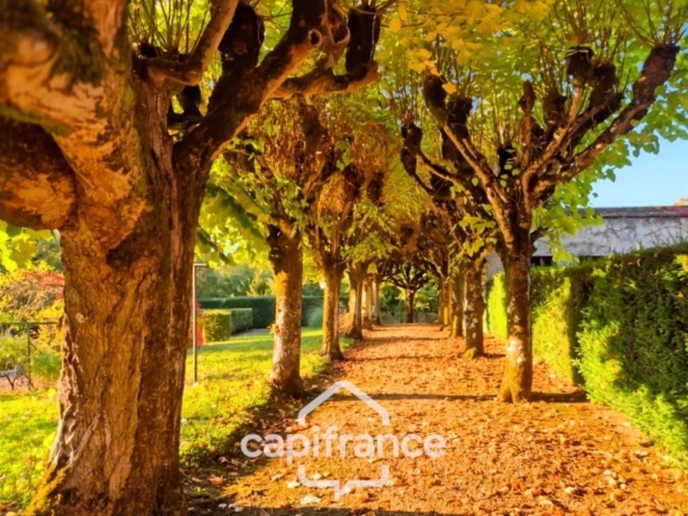 � vendre  Propri�t�/ch�teau Troo (41800)