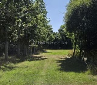  Terrain � vendre 45907 m�