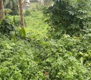  Terrain � vendre 688 m�