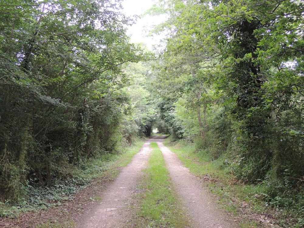 � vendre  Propri�t�/ch�teau Myennes (58440)