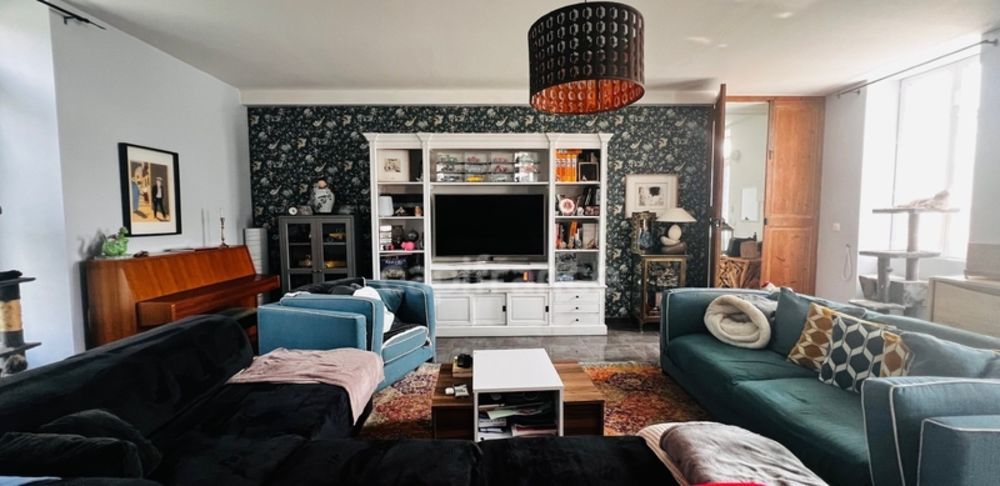 � vendre  Propri�t�/ch�teau Anais (17540)