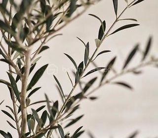  Terrain � vendre 310 m�