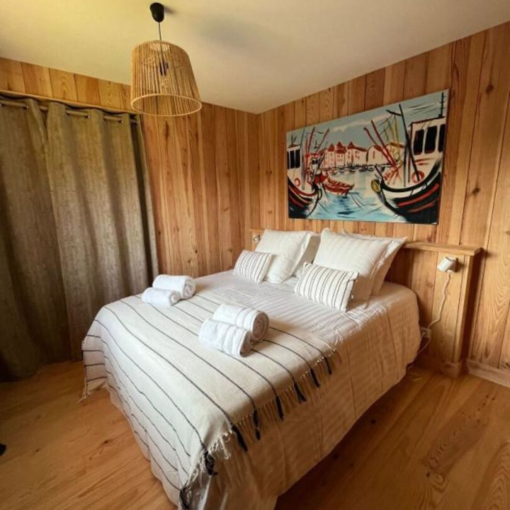 � vendre  Propri�t�/ch�teau Saint-Julien-en-Born (40170)