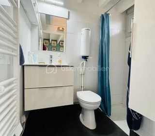  Duplex/triplex � vendre 2 pi�ces 35 m�