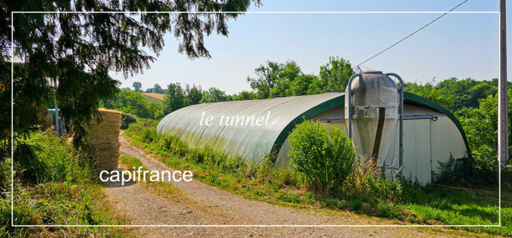 � vendre  Propri�t�/ch�teau Aubin (12110)