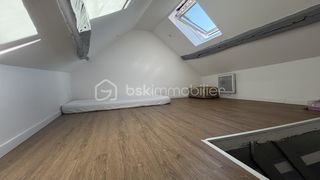  Duplex/triplex � vendre 1 pi�ce 29 m�