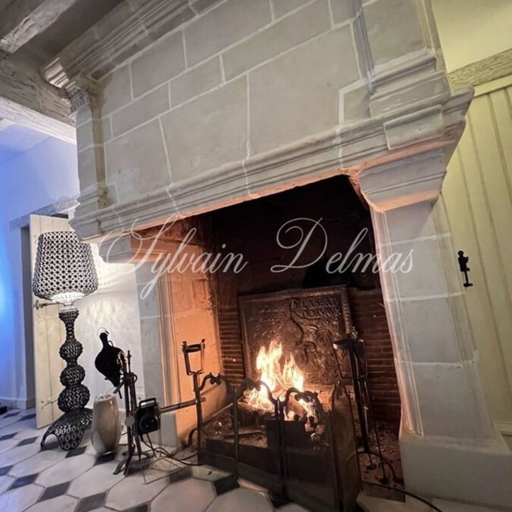 � vendre  Propri�t�/ch�teau Cormery (37320)