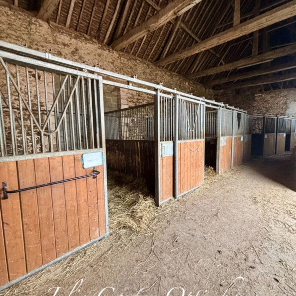 � vendre  Propri�t�/ch�teau Avoine (61150)