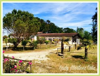  Immeuble � vendre 15 + pi�ces 440 m�