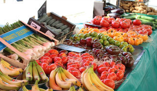  Appartement � vendre 4 pi�ces 104 m�