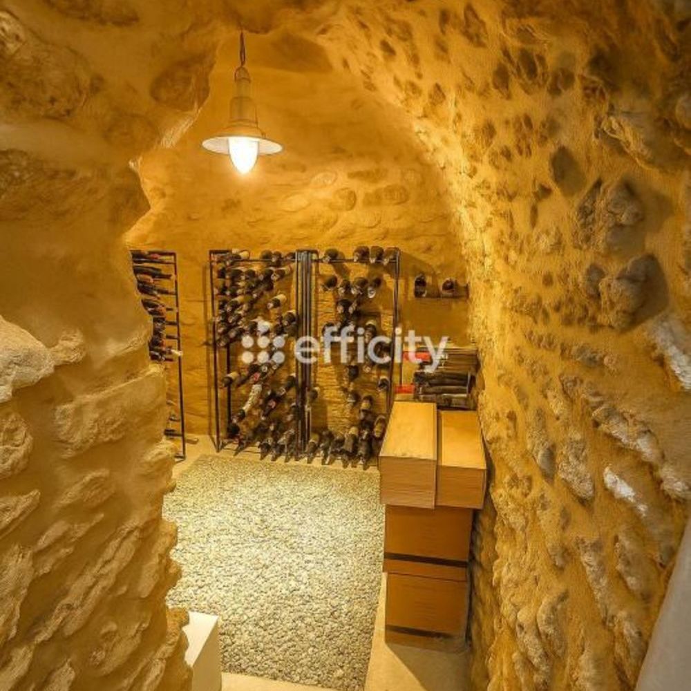 � vendre  Villa Saint-Maurice (94410)