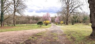  Propri�t�/ch�teau � vendre 14 pi�ces 346 m�