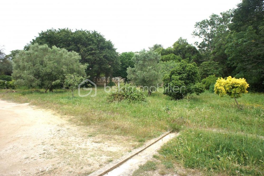 � vendre  Propri�t�/ch�teau Bormes-les-Mimosas (83230)