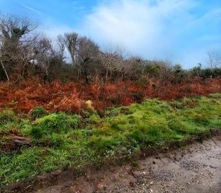  Terrain � vendre 1110 m�