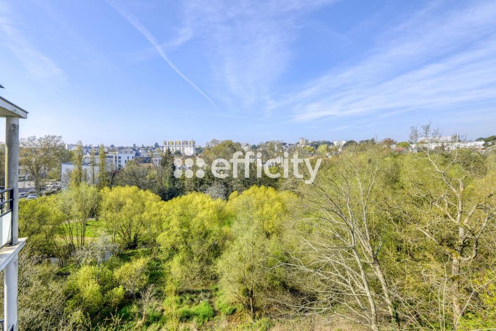 � vendre  Appartement Nantes (44100)