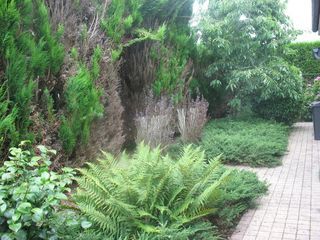  Appartement � louer 1 pi�ce 11 m�