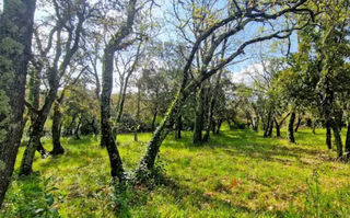  Terrain � vendre 1771 m�