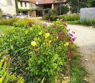  Appartement � louer 1 pi�ce 12 m�