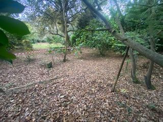  Terrain � vendre 1057 m�