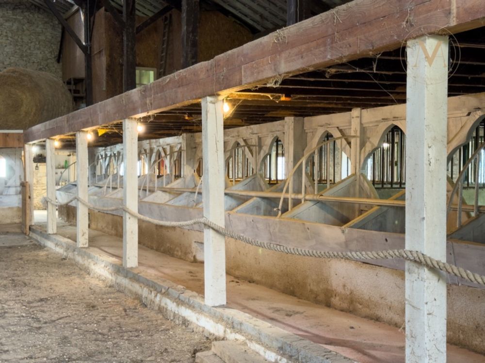 � vendre  Propri�t�/ch�teau Penne-d'Agenais (47140)