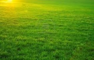  Terrain � vendre 1100 m�