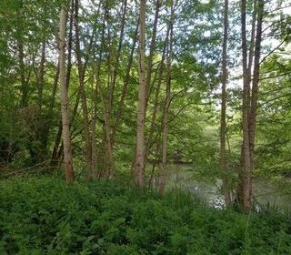  Terrain � vendre 405 m�