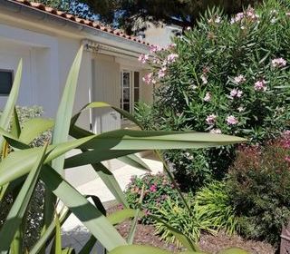  Immeuble � vendre 15 + pi�ces 256 m�