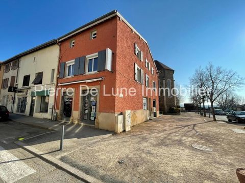 Id&eacute;al investisseur au coeur de Brindas 600000 69126 Brindas