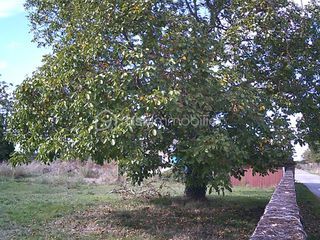  Terrain � vendre 685 m�