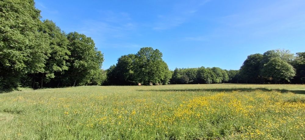 � vendre  Propri�t�/ch�teau Mor�e (41160)