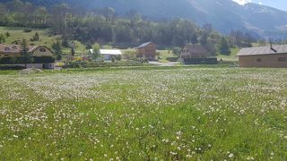  Terrain � vendre 610 m�