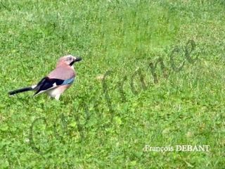  Terrain � vendre 1159 m�