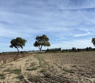  Terrain � vendre 15000 m�