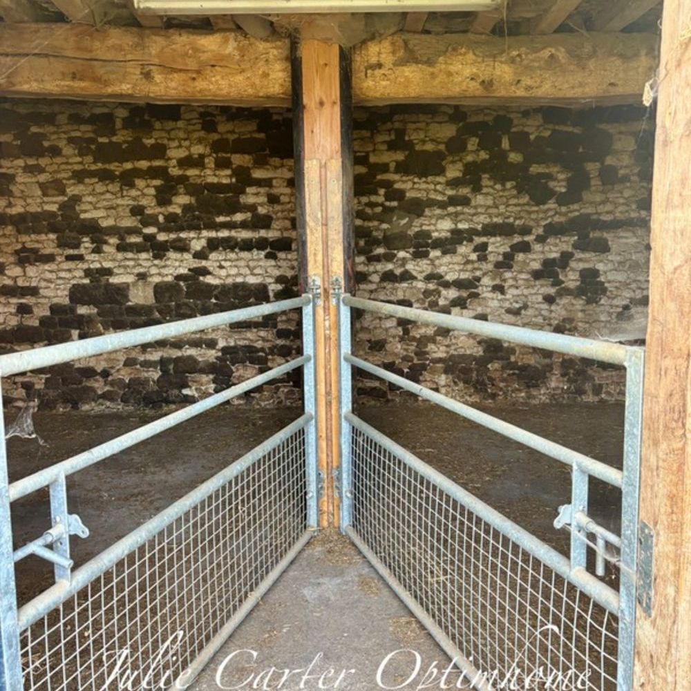 � vendre  Propri�t�/ch�teau Avoine (61150)