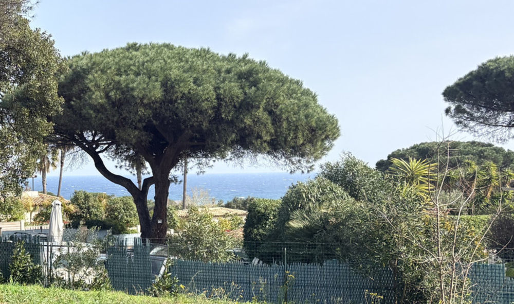 � vendre  Maison Ramatuelle (83350)