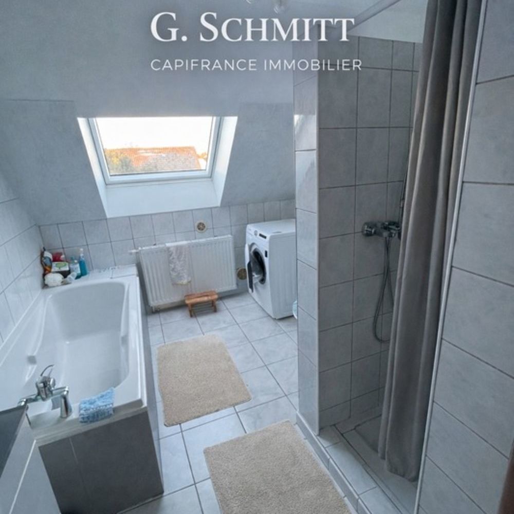 � vendre  Propri�t�/ch�teau Colmar (68000)