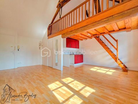   � louer � Studio avec mezzanine � 30 m� Appartement - 1 pi�ce(s) - 30 m�